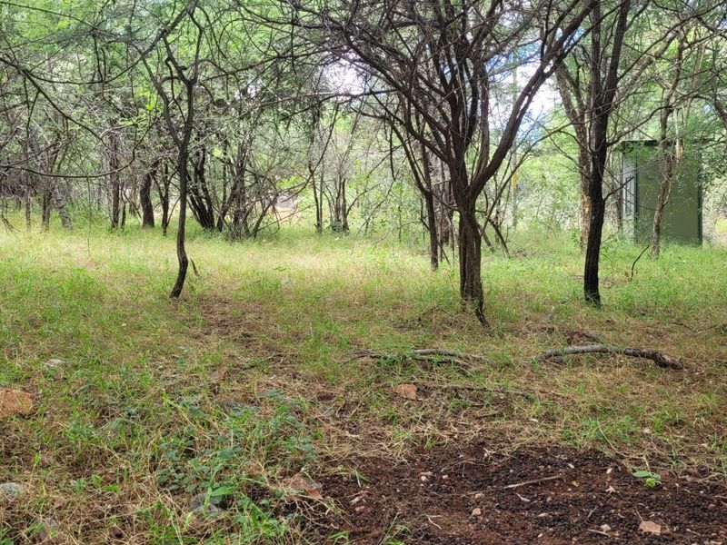 STAND IN TRANQUIL  AREA - Photo 8