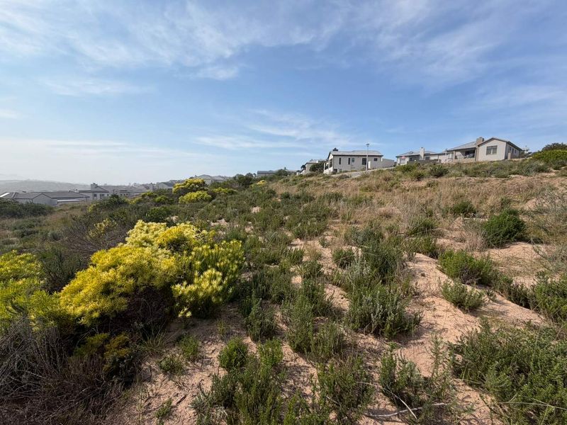 A view of a sloped, undeveloped residential plot featuring native coastal vegetation with established residential homes visible in the background.