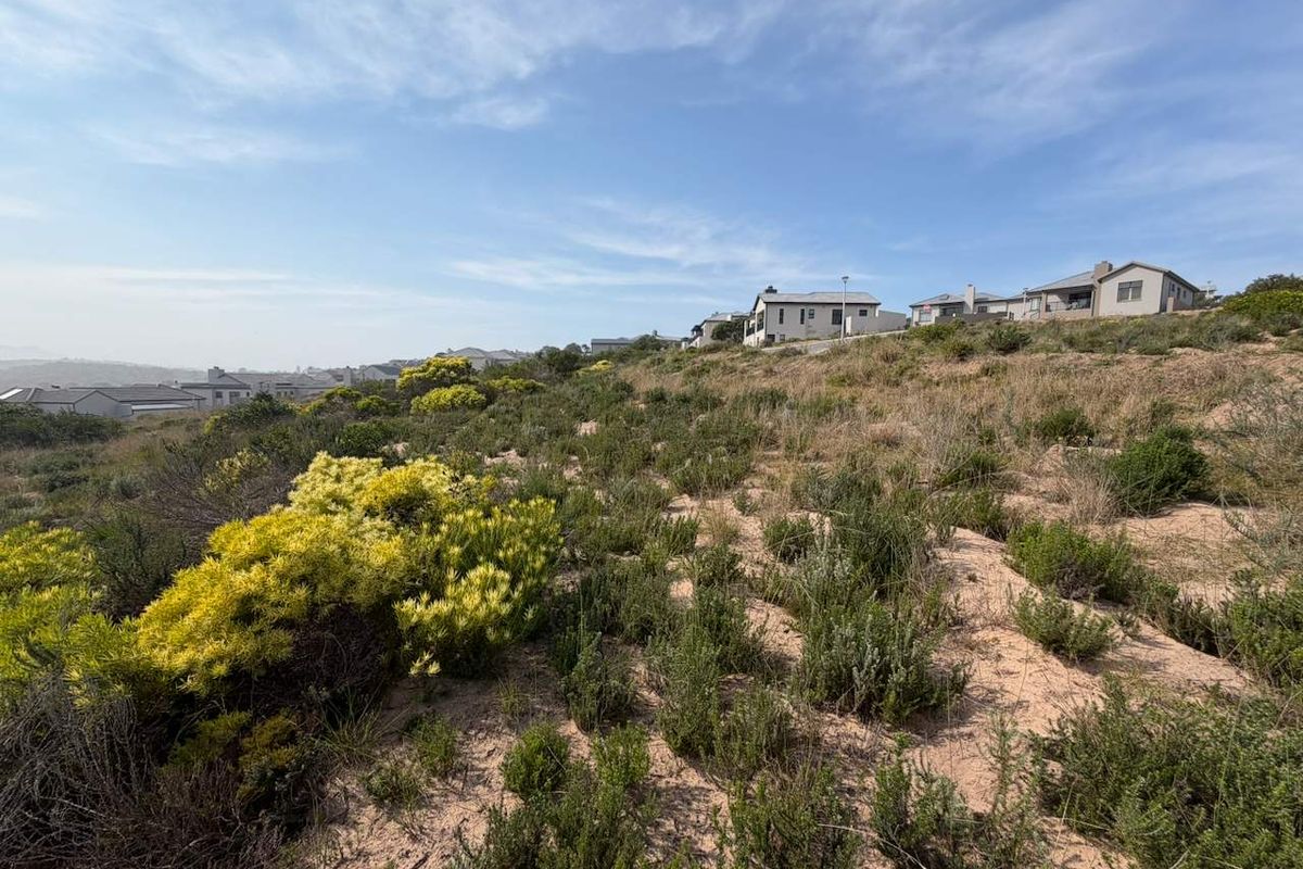 A view of a sloped, undeveloped residential plot featuring native coastal vegetation with established residential homes visible in the background.