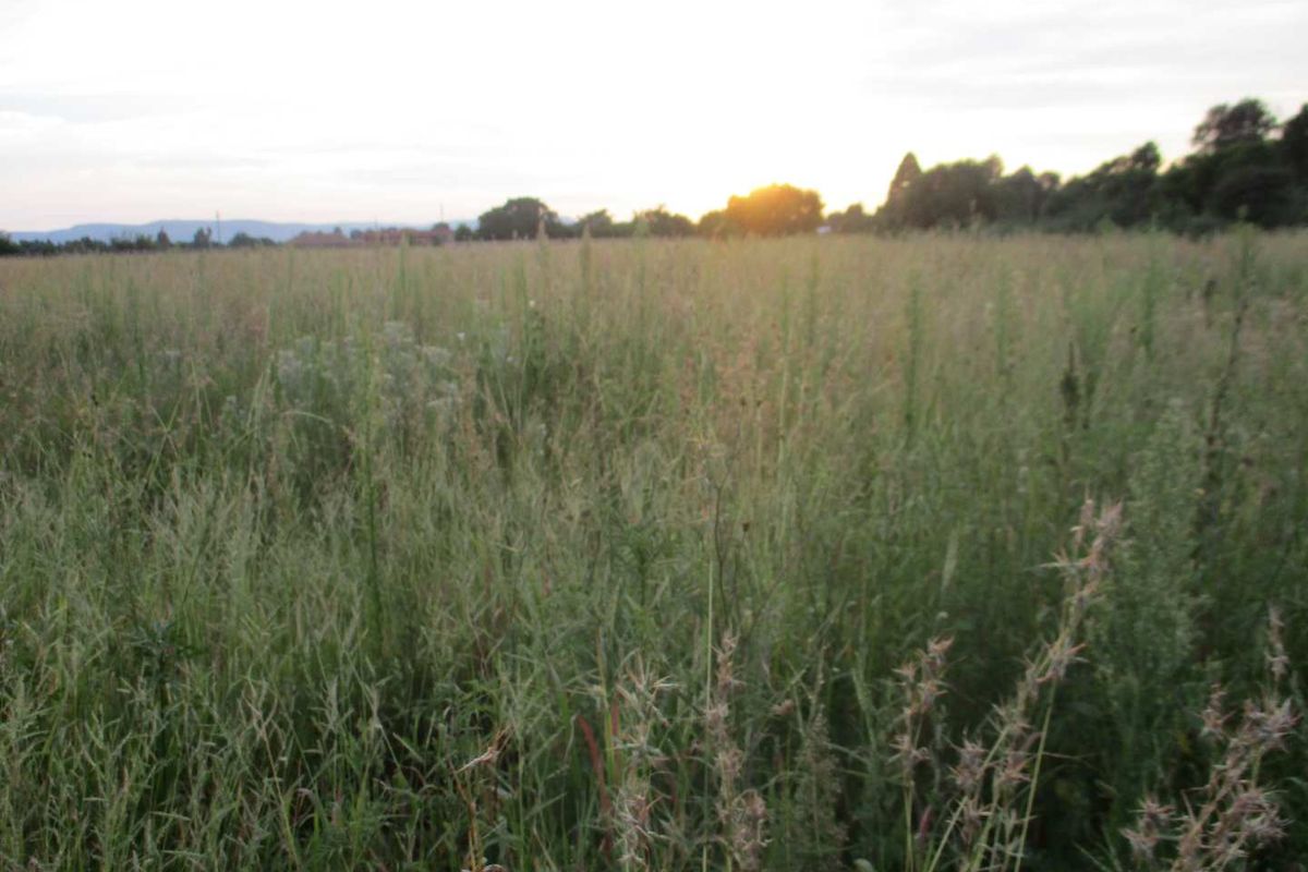 Calling all Developers - Photo 5