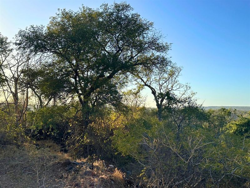 Build Your Dream Home with Mountain Views in Elephant Rock Eco Estate - Photo 2