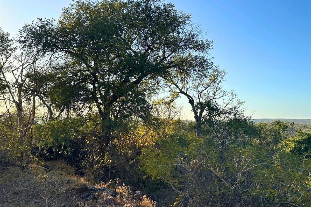 Build Your Dream Home with Mountain Views in Elephant Rock Eco Estate - Photo 2