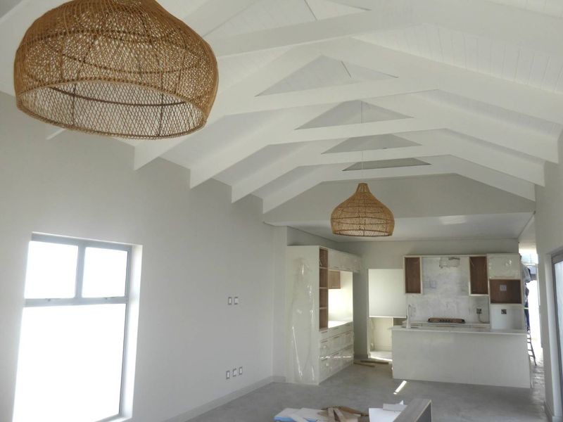 Spacious open-plan living and kitchen area featuring a high vaulted ceiling with exposed rafters and modern built-in cabinetry in a neutral finish.