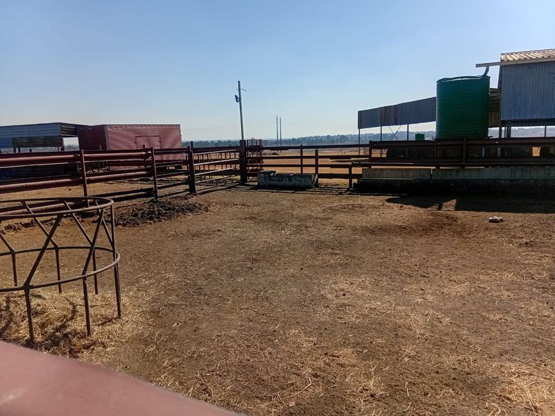 Kraal & Grazing Land to Rent – Withok Estate, Brakpan - Photo 4