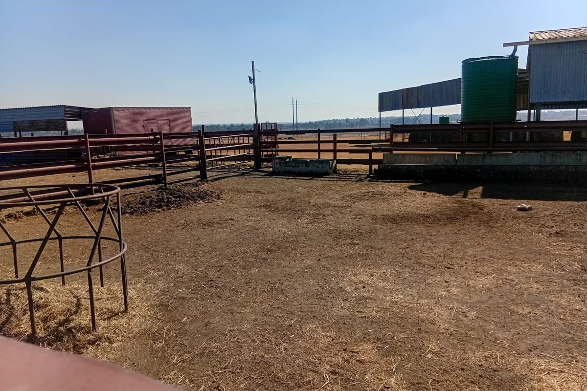 Kraal & Grazing Land to Rent – Withok Estate, Brakpan - Photo 4