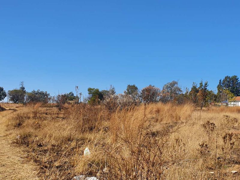 PRIME VACANT LAND IN RUIMSIG ! - Photo 3