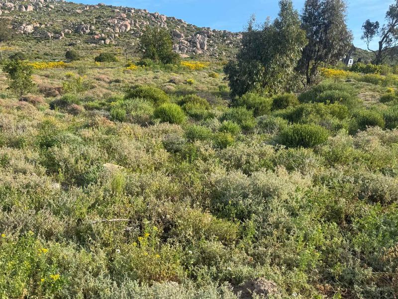 Plot & Plan Opportunity in St Helena Views – Modern Coastal Living with Solar Power - Photo 8