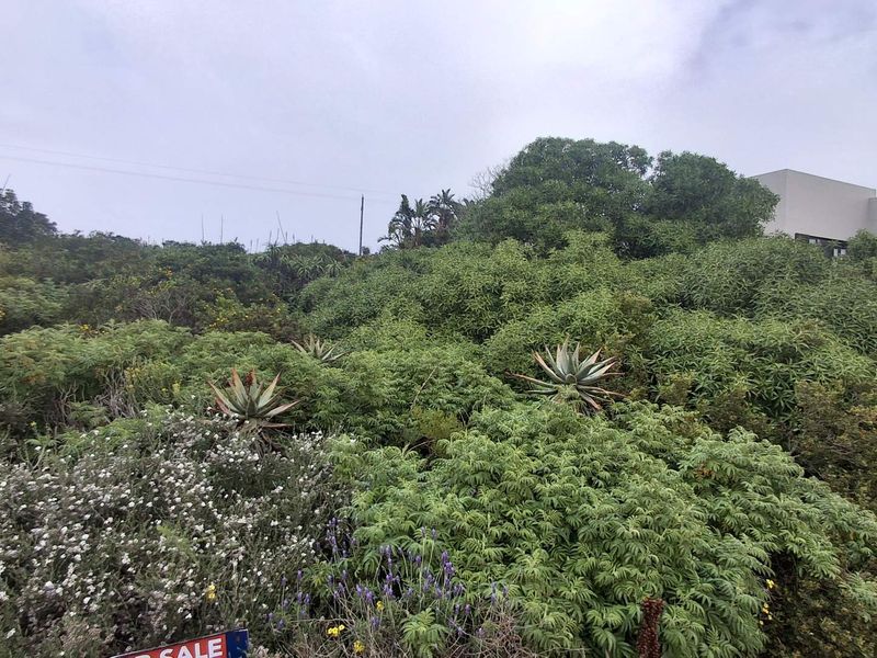 Well-situated stand in prestigious Vleesbaai - Photo 2