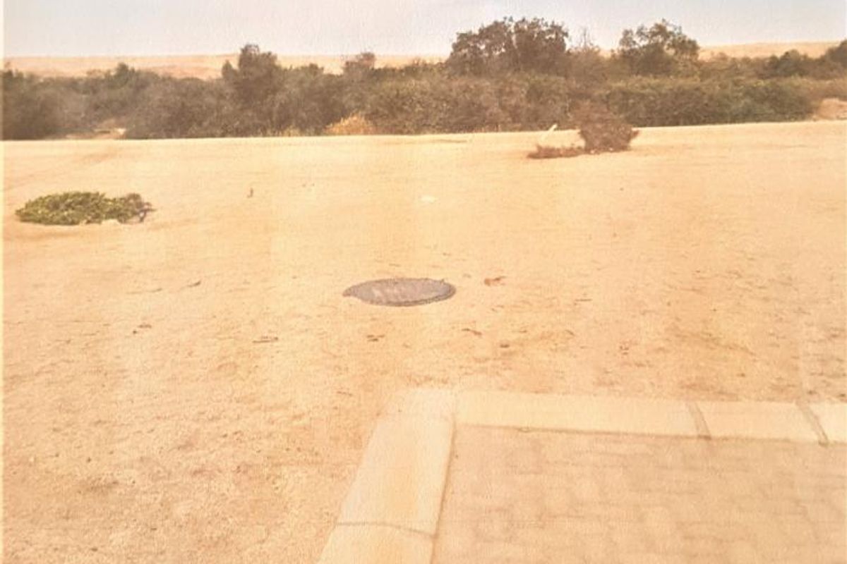 Vacant Land - Photo 2
