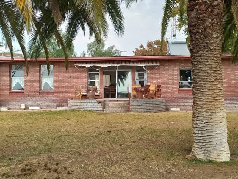 Rear view of a single-story face brick farmhouse featuring a raised patio, sliding glass doors, and established palm trees in the garden.