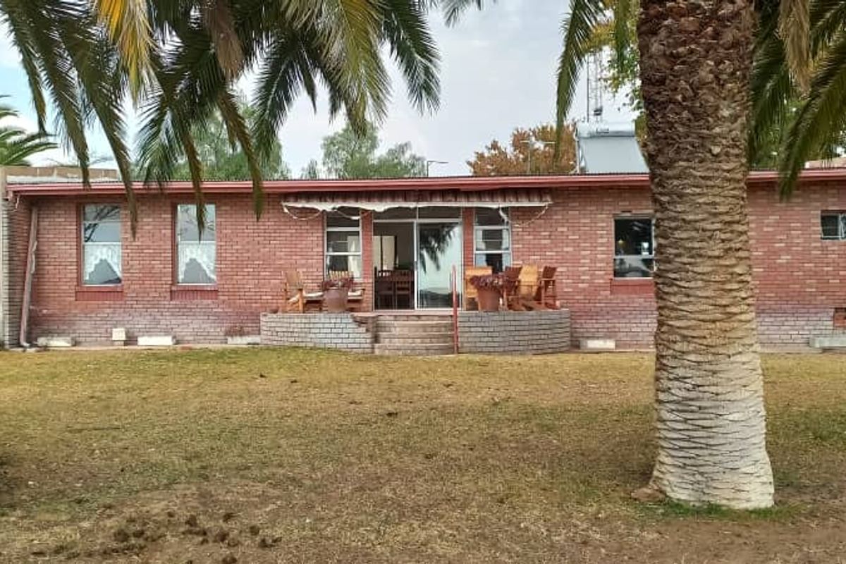 Rear view of a single-story face brick farmhouse featuring a raised patio, sliding glass doors, and established palm trees in the garden.
