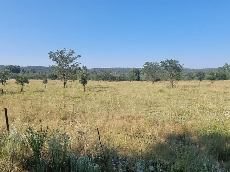 Vacant Land De Tweedespruit Cullinan - Photo 6