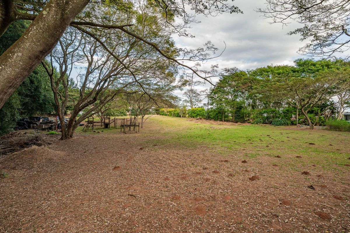 The Perfect piece of land - Photo 4