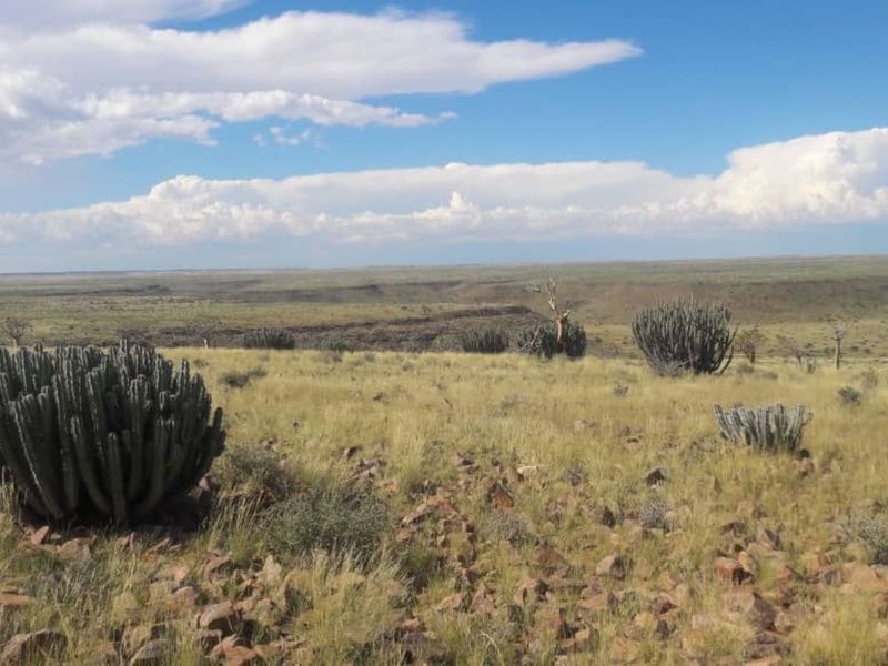 A RARE FIND IN SOUTHERN NAMIBIA – 3 WELL-DEVELOP FARMS SOLD TOGETHER - Photo 8