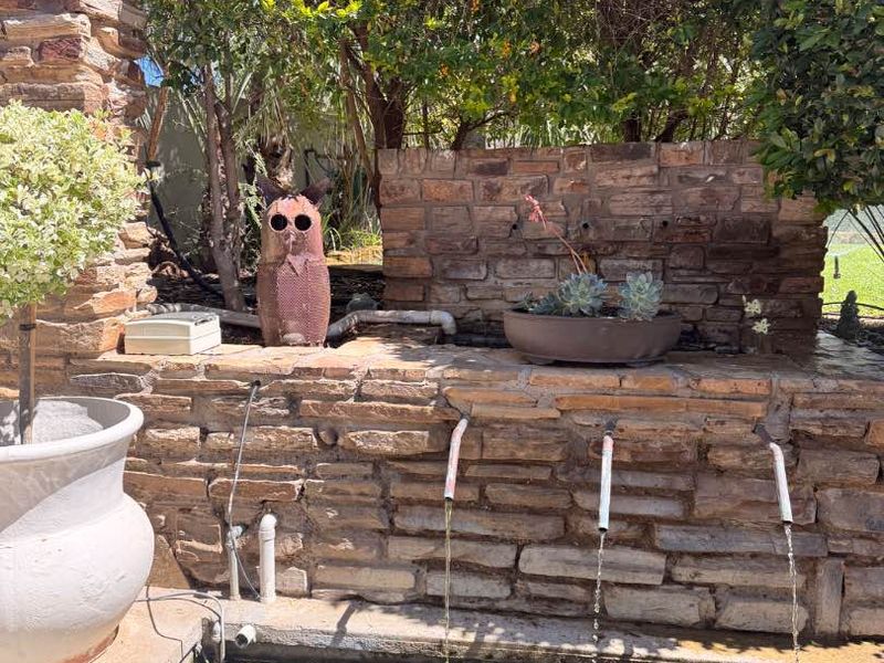A stone water feature and pond area with integrated plumbing, requiring maintenance to address algae growth and improve the overall aesthetic of the garden space.