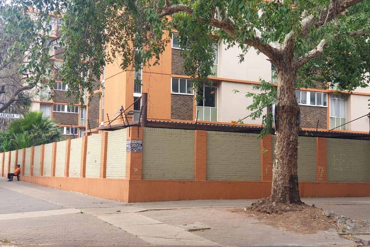 Urgent Sale - Photo 4