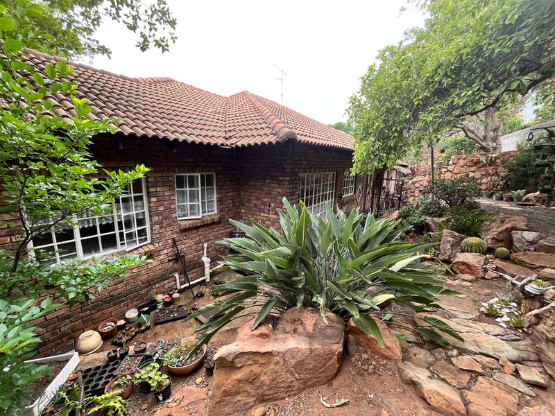 Close to nature in the city! - Photo 5