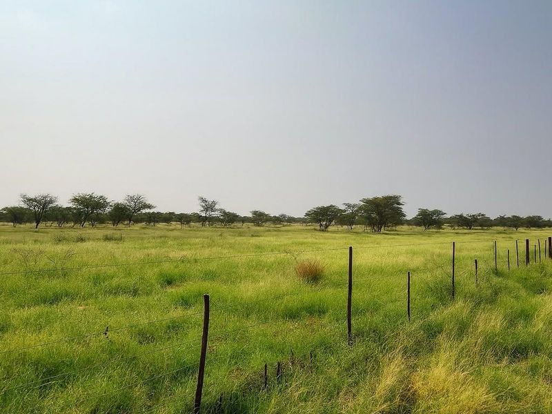 Prime 1,000ha Farm — Otjiwarongo (inside town area) - Photo 1