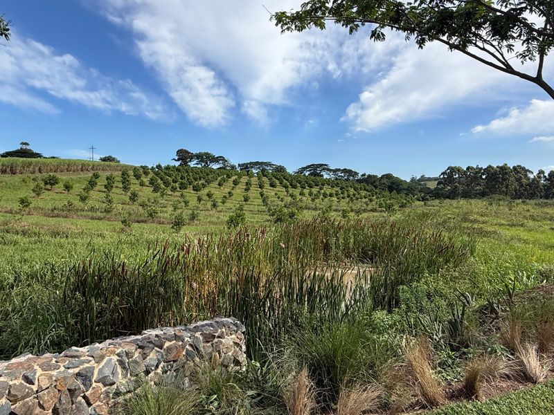 A scenic view of a well-maintained residential plot featuring a natural pond, stone retaining wall, and established orchard plantings.