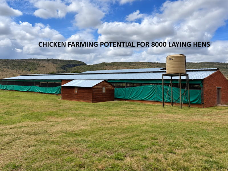 Large agricultural poultry facility featuring brick construction, metal roofing, and an integrated water storage tank, suitable for large-scale farming operations.