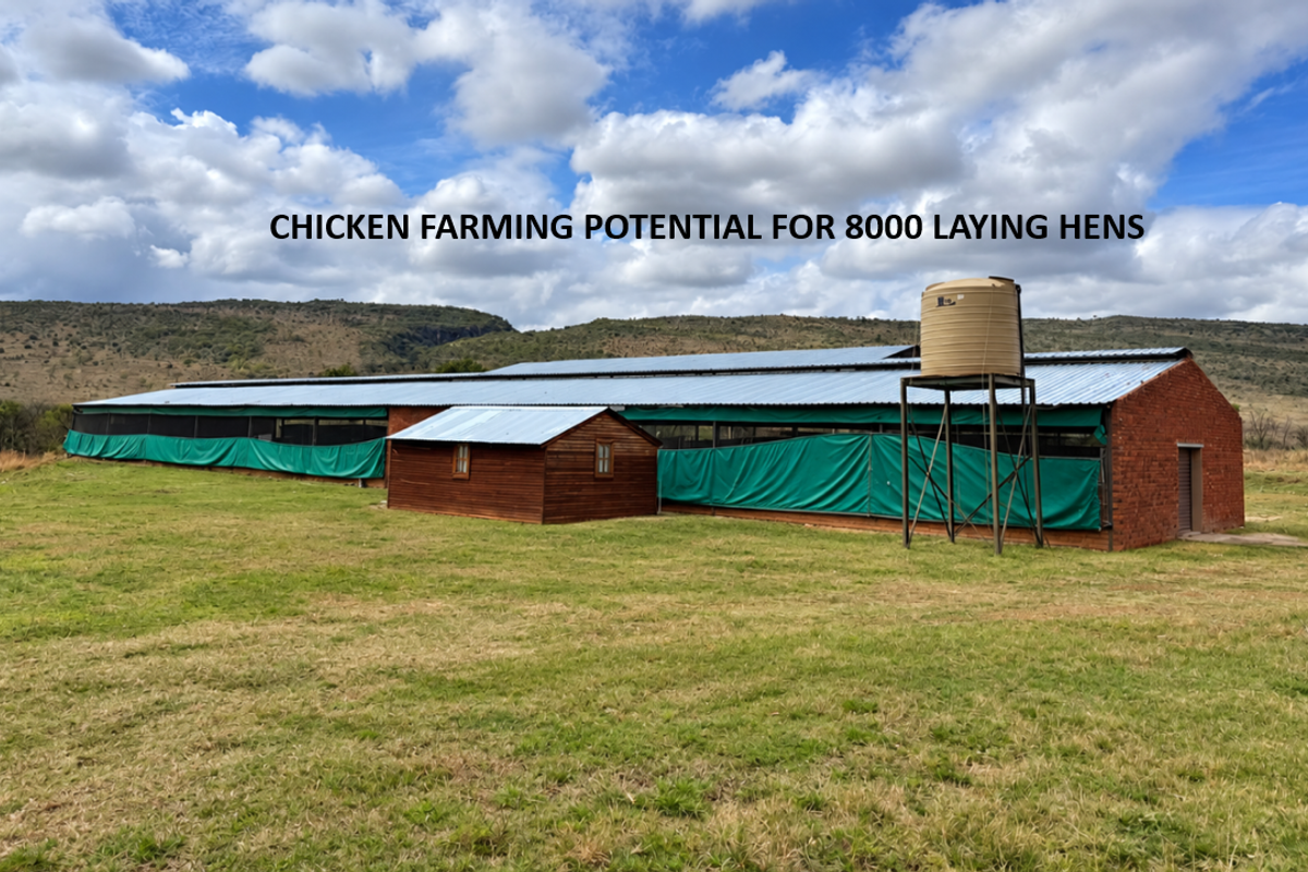 Large agricultural poultry facility featuring brick construction, metal roofing, and an integrated water storage tank, suitable for large-scale farming operations.