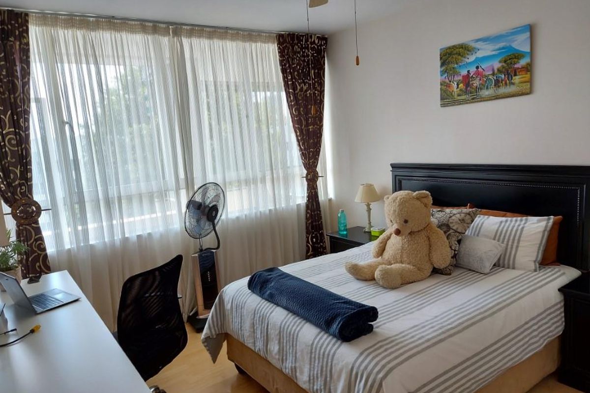 A well-lit bedroom featuring light wood-look flooring, a ceiling fan, and large windows with sheer curtains providing ample natural light.