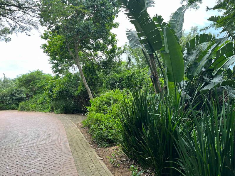 Prime Vacant Land in Zimbali – One of the Last Remaining Opportunities. - Photo 2