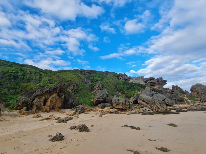 Three bedroom retreat in nature’s paradise - Photo 8