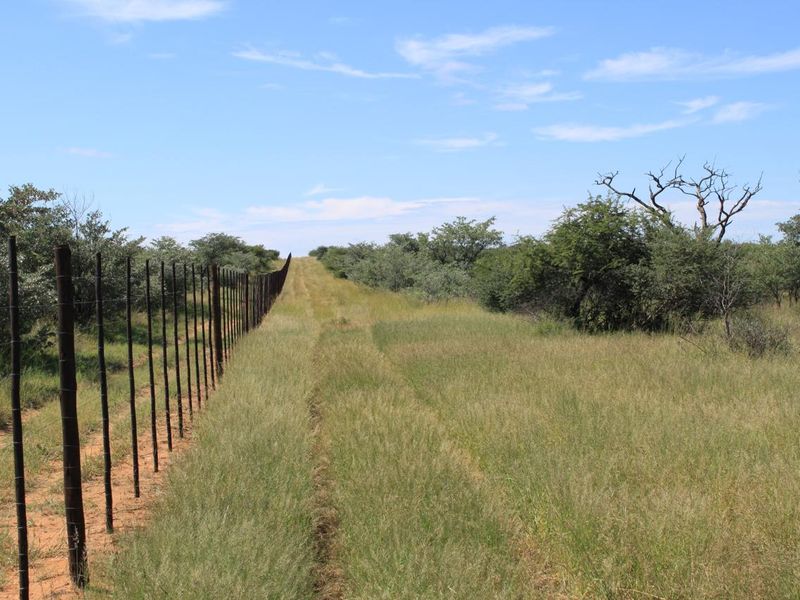 FOR SALE - CATTLE & GAME FARM IN THE  GOBABIS AREA - Photo 2