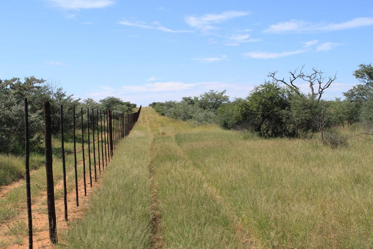 FOR SALE - CATTLE & GAME FARM IN THE  GOBABIS AREA - Photo 2