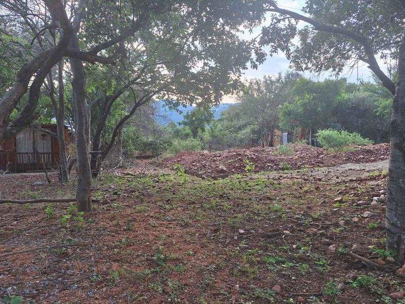 A view of a vacant residential plot featuring mature trees and cleared ground, offering potential for future development.