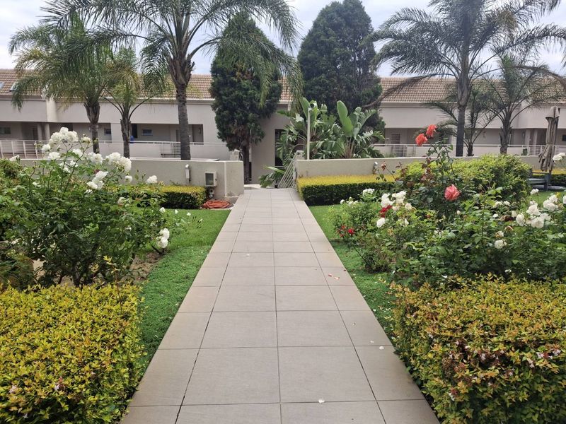 A well-maintained communal garden area featuring a central paved walkway flanked by manicured hedges, rose bushes, and mature palm trees.