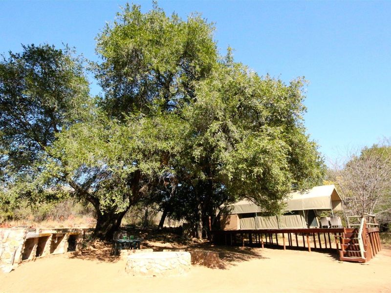 Outdoor entertainment area featuring a raised wooden deck with a canvas tent structure, stone fire pit, and built-in stone braai under large trees.