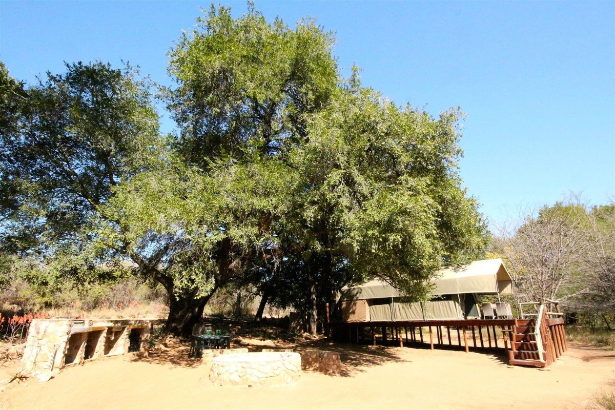 Outdoor entertainment area featuring a raised wooden deck with a canvas tent structure, stone fire pit, and built-in stone braai under large trees.