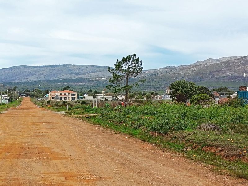 Two for the price of one - Photo 10