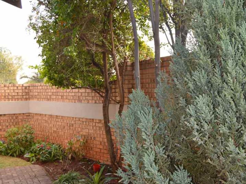 Beautful and modern house in the Wilds Estate - Photo 9