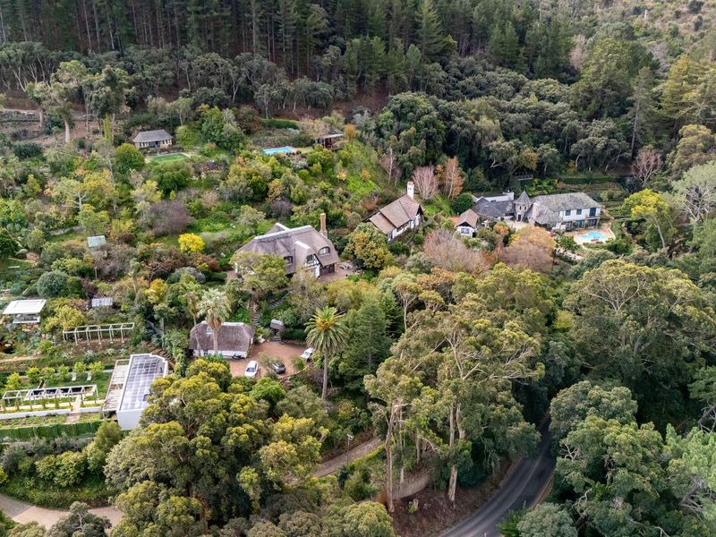 Witteboomen - a world above Constantia! - Photo 5