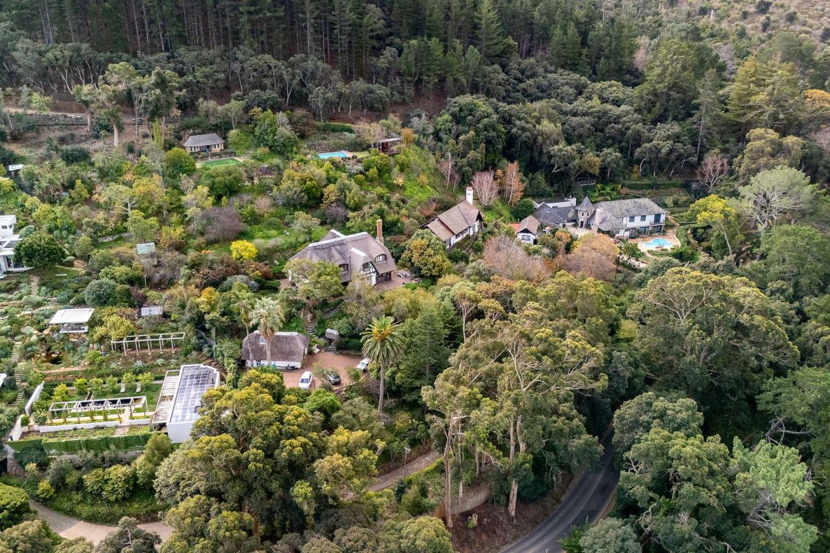Witteboomen - a world above Constantia! - Photo 5