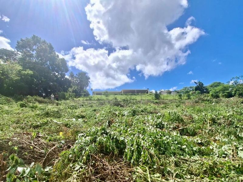 Prime Vacant Land Opportunity - Photo 6