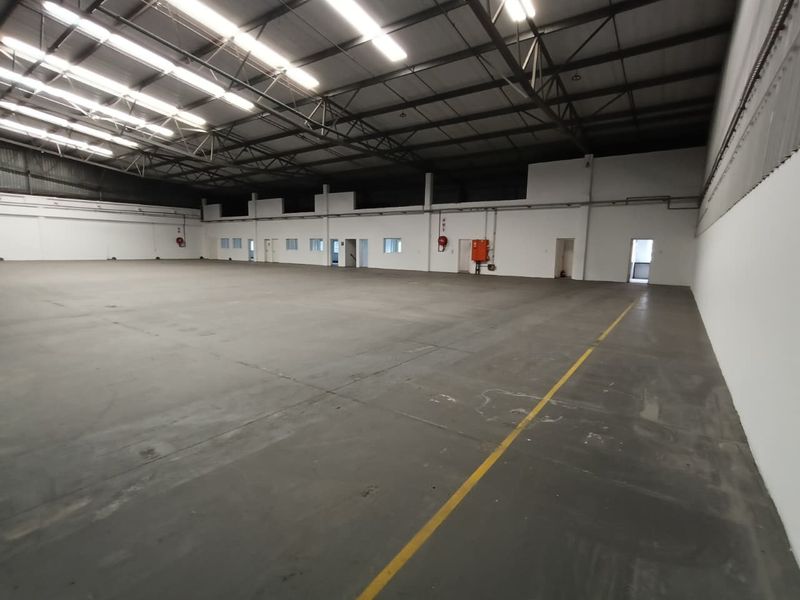 2875m2 - Warehouse, Yard 744m2 - Photo 2