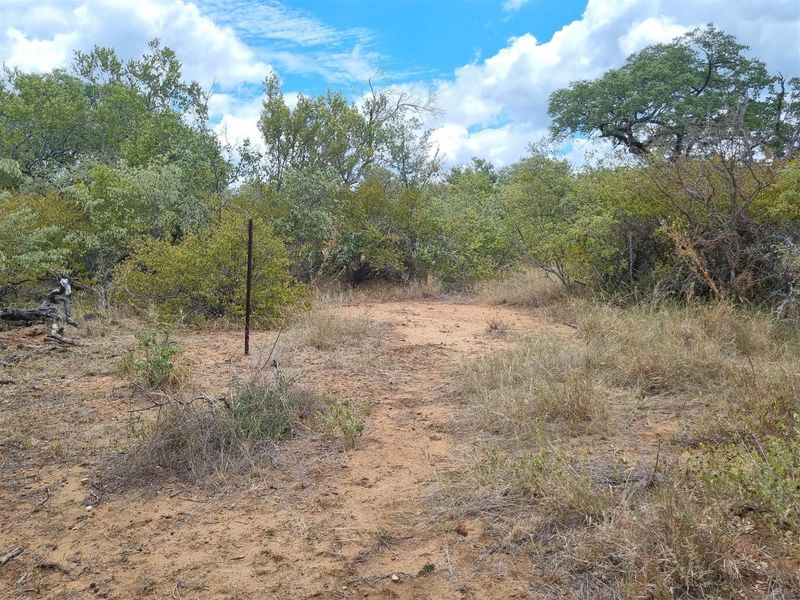 A view of a vacant residential plot featuring natural bushveld vegetation and a single boundary marker post.