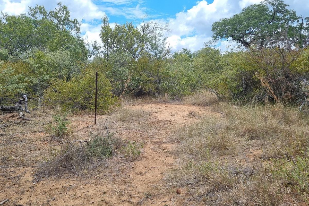 A view of a vacant residential plot featuring natural bushveld vegetation and a single boundary marker post.