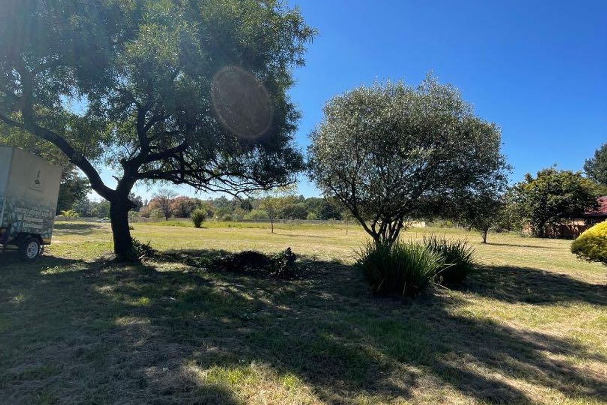 Land For Sale!! - Photo 5