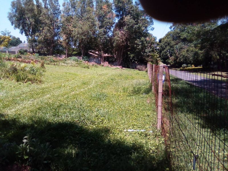 Super Find- Rare Gem of Land in WInston Park - Photo 7