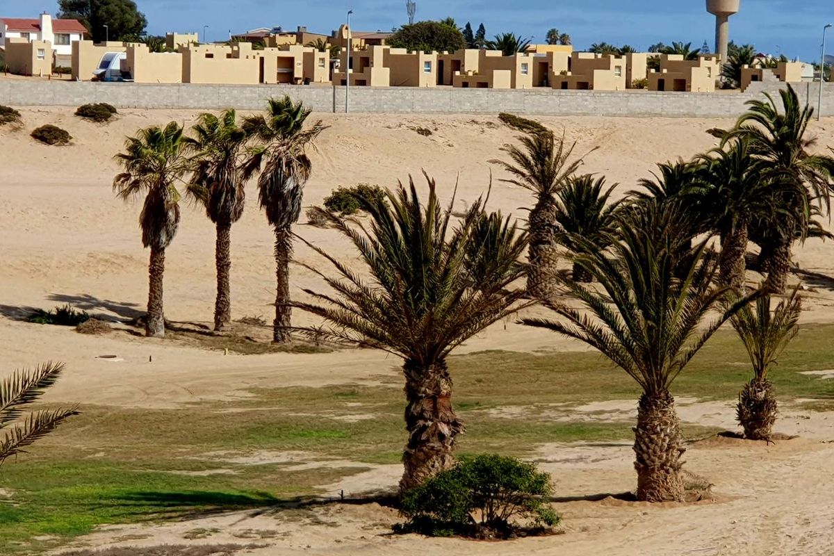 A view of a sandy residential plot featuring established palm trees and a perimeter boundary wall in a coastal setting.