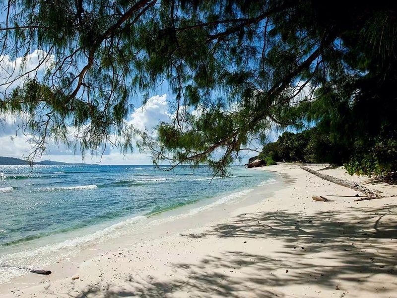 Exceptional beachfront development land La Digue - Photo 9