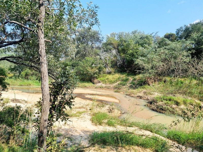 1.9-hectare riverfront stand for sale in Moditlo Wildlife Estate - Photo 4