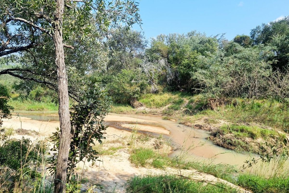 1.9-hectare riverfront stand for sale in Moditlo Wildlife Estate - Photo 4