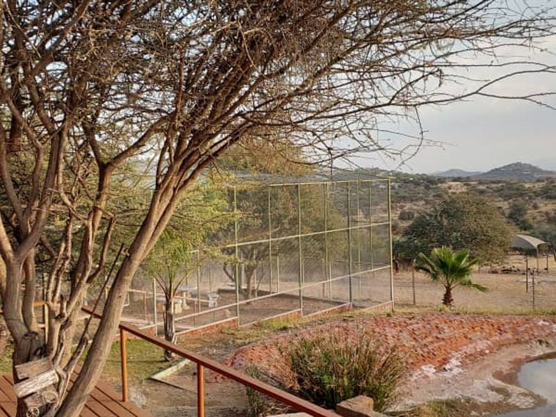 Your Lodge-Style Dream Home Awaits - Photo 4