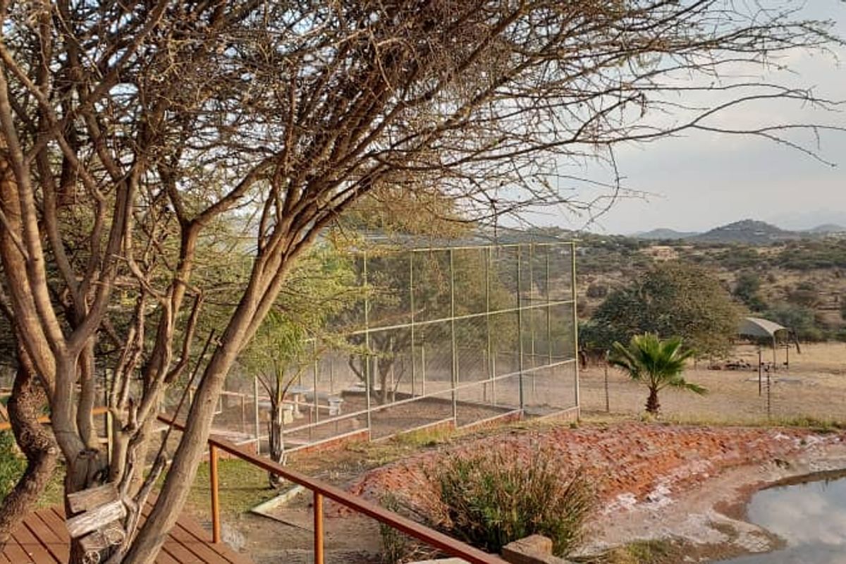 Your Lodge-Style Dream Home Awaits - Photo 4